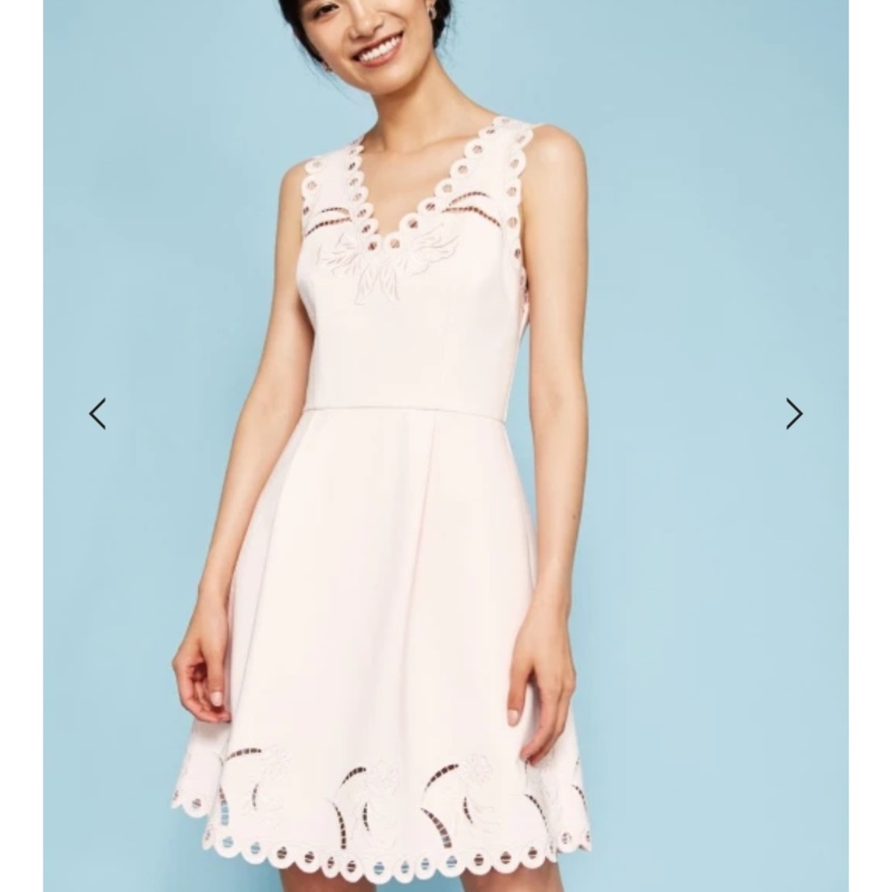 Ted Baker Emalise V-neck embroidered skater dress